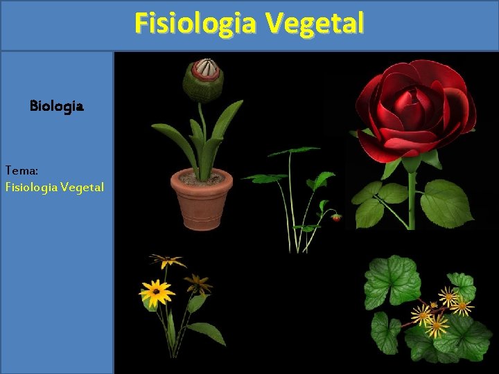 Fisiologia Vegetal Biologia Tema: Fisiologia Vegetal 