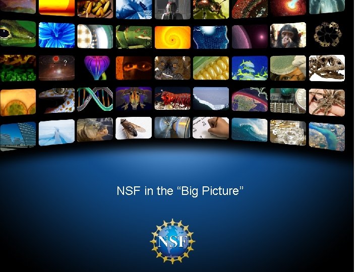 NSF in the “Big Picture” 