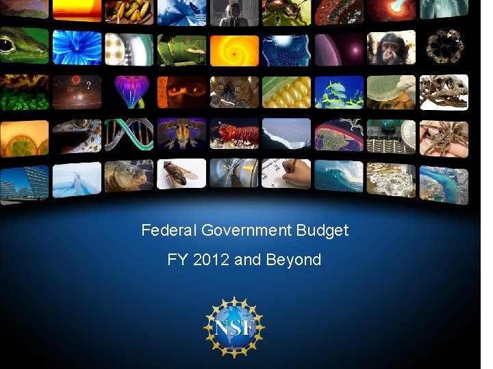 Federal Government Budget FY 2012 and Beyond 