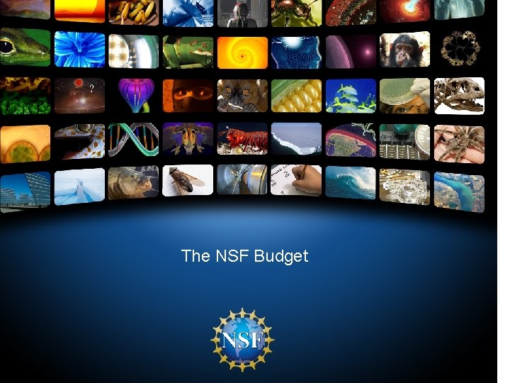 The NSF Budget 