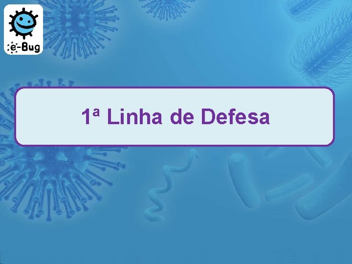 1ª Linha de Defesa 