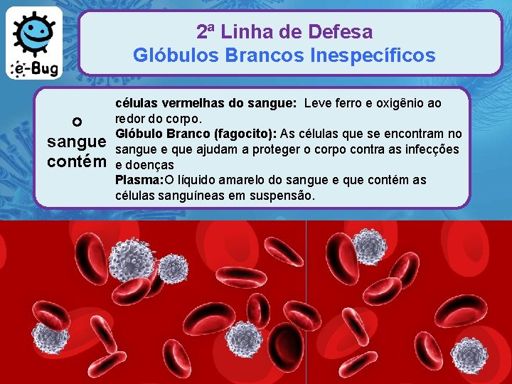 2ª Linha de Defesa Glóbulos Brancos Inespecíficos o sangue contém células vermelhas do sangue: