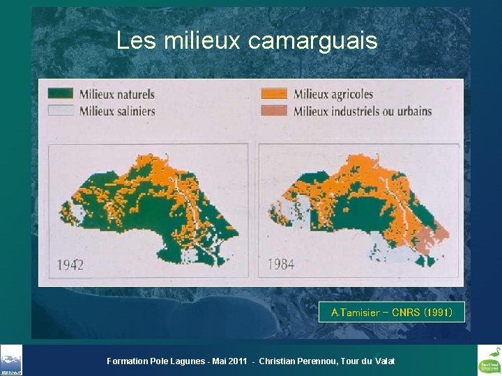 Les milieux camarguais A. Tamisier - CNRS (1991) Formation Pole Lagunes - Mai 2011