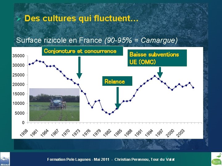 Ø Des cultures qui fluctuent… Surface rizicole en France (90 -95% = Camargue) Conjoncture