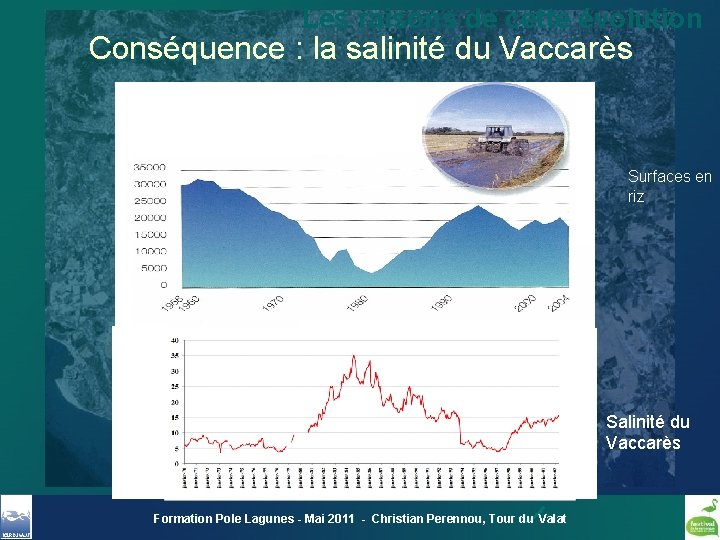 Les raisons de cette évolution Conséquence : la salinité du Vaccarès Surfaces en riz