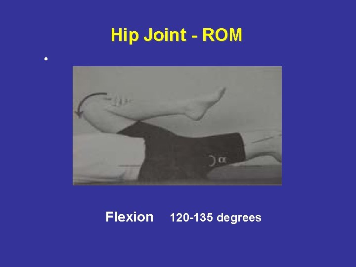 Hip Joint - ROM • Flexion 120 -135 degrees 