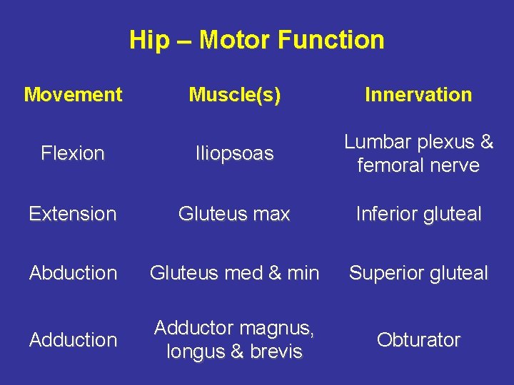 Hip – Motor Function Movement Muscle(s) Innervation Flexion Iliopsoas Lumbar plexus & femoral nerve