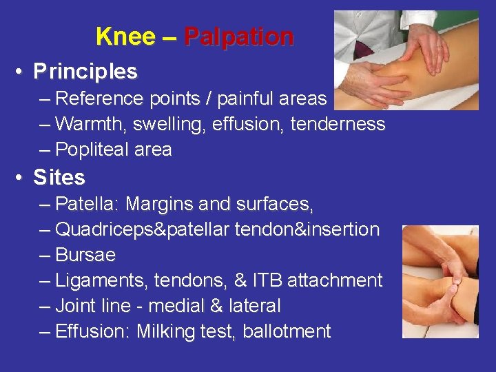 Knee – Palpation • Principles – Reference points / painful areas – Warmth, swelling,