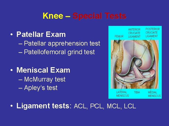 Knee – Special Tests • Patellar Exam – Patellar apprehension test – Patellofemoral grind