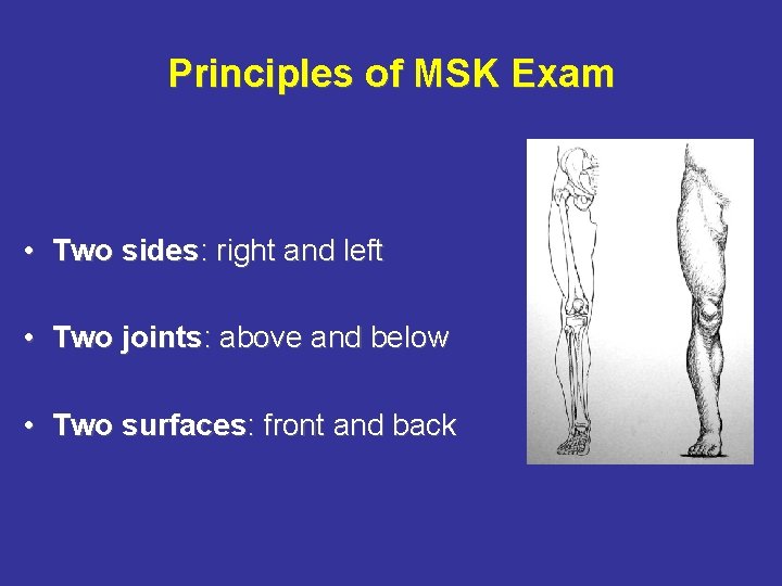Principles of MSK Exam • Two sides: right and left • Two joints: above