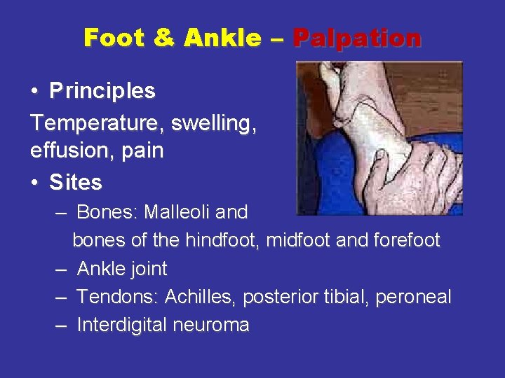 Foot & Ankle – Palpation • Principles Temperature, swelling, effusion, pain • Sites –