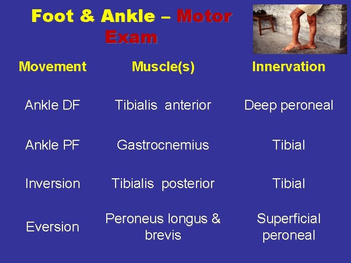 Foot & Ankle – Motor Exam Movement Muscle(s) Innervation Ankle DF Tibialis anterior Deep