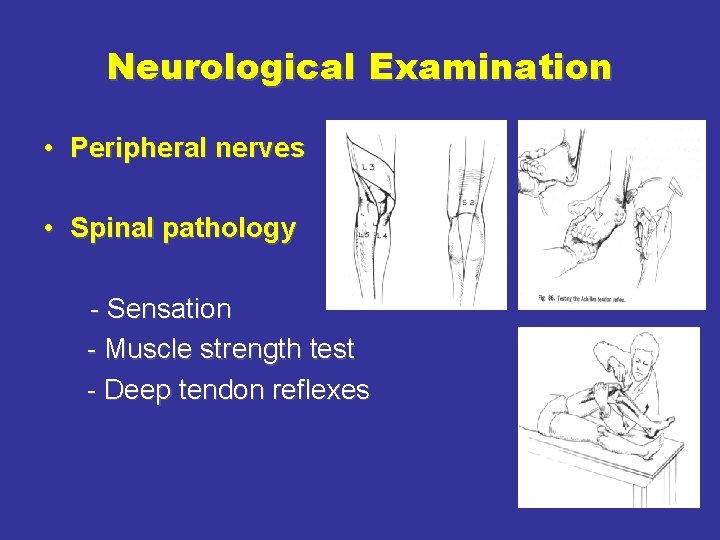 Neurological Examination • Peripheral nerves • Spinal pathology - Sensation - Muscle strength test