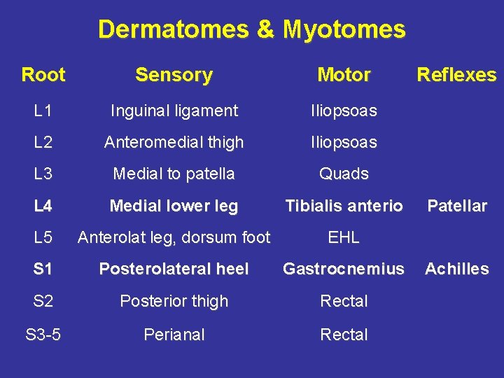 Dermatomes & Myotomes Root Sensory Motor L 1 Inguinal ligament Iliopsoas L 2 Anteromedial