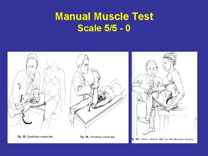 Manual Muscle Test Scale 5/5 - 0 