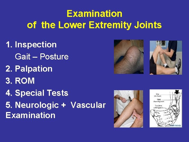 Examination of the Lower Extremity Joints 1. Inspection Gait – Posture 2. Palpation 3.