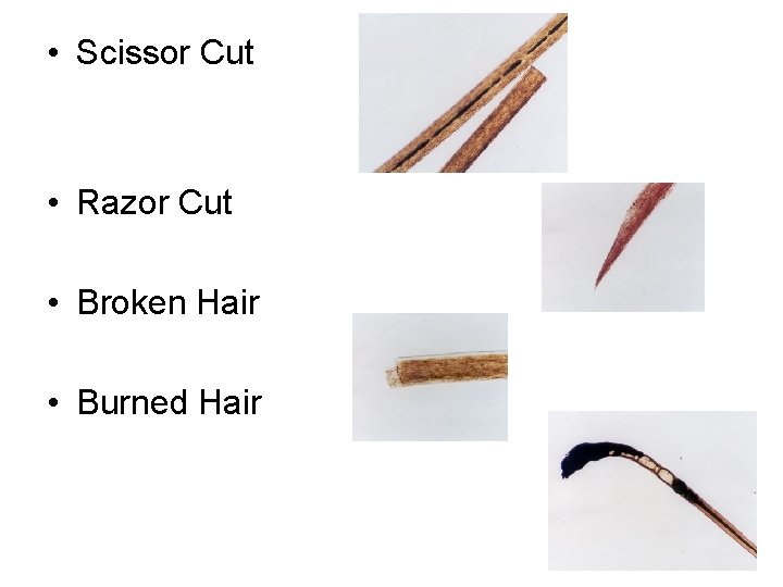  • Scissor Cut • Razor Cut • Broken Hair • Burned Hair 