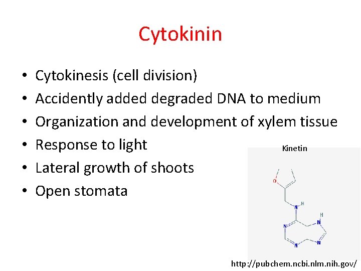 Cytokinin • • • Cytokinesis (cell division) Accidently added degraded DNA to medium Organization Cytokinin • • • Cytokinesis (cell division) Accidently added degraded DNA to medium Organization