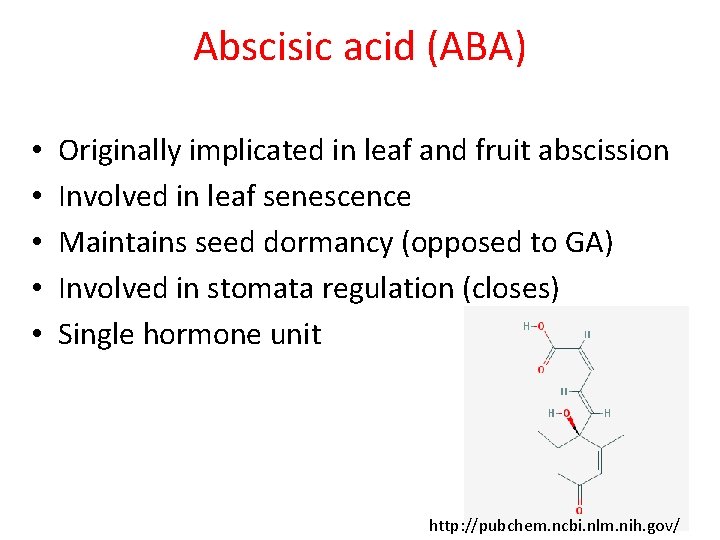 Abscisic acid (ABA) • • • Originally implicated in leaf and fruit abscission Involved Abscisic acid (ABA) • • • Originally implicated in leaf and fruit abscission Involved