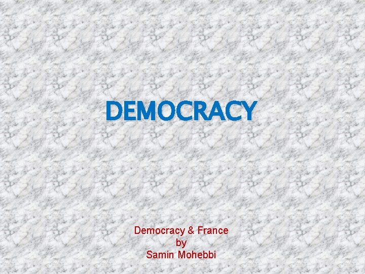 DEMOCRACY Democracy & France by Samin Mohebbi 