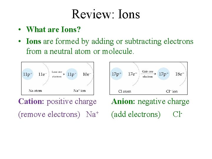 Review: Ions • What are Ions? • Ions are formed by adding or subtracting