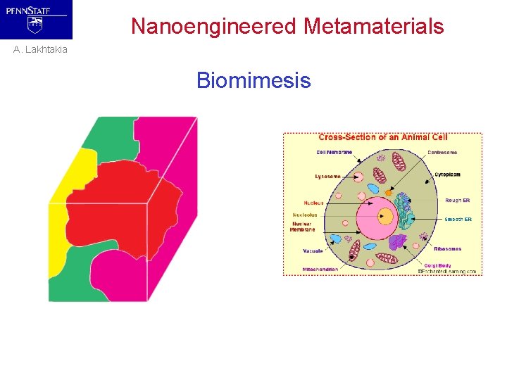 Nanoengineered Metamaterials A. Lakhtakia Biomimesis 