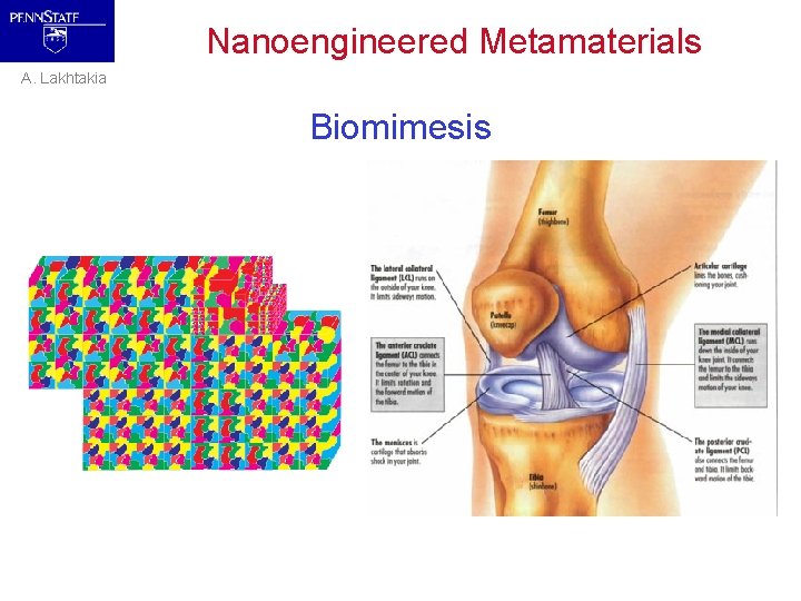 Nanoengineered Metamaterials A. Lakhtakia Biomimesis 