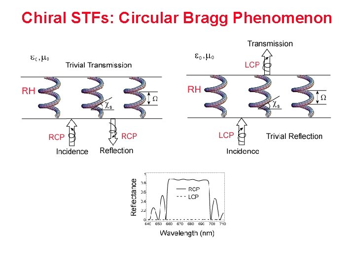 Chiral STFs: Circular Bragg Phenomenon 