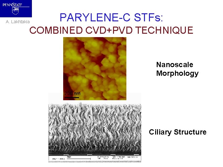 A. Lakhtakia PARYLENE-C STFs: COMBINED CVD+PVD TECHNIQUE Nanoscale Morphology Ciliary Structure 