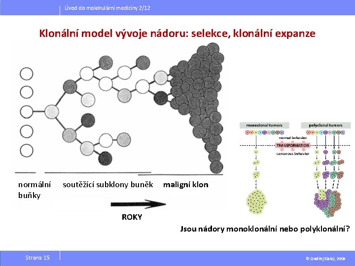 Úvod do molekulární medicíny 2/12 Klonální model vývoje nádoru: selekce, klonální expanze normální buňky