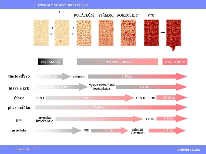 Úvod do molekulární medicíny 2/12 Strana 16 © Ondřej Slabý, 2009 