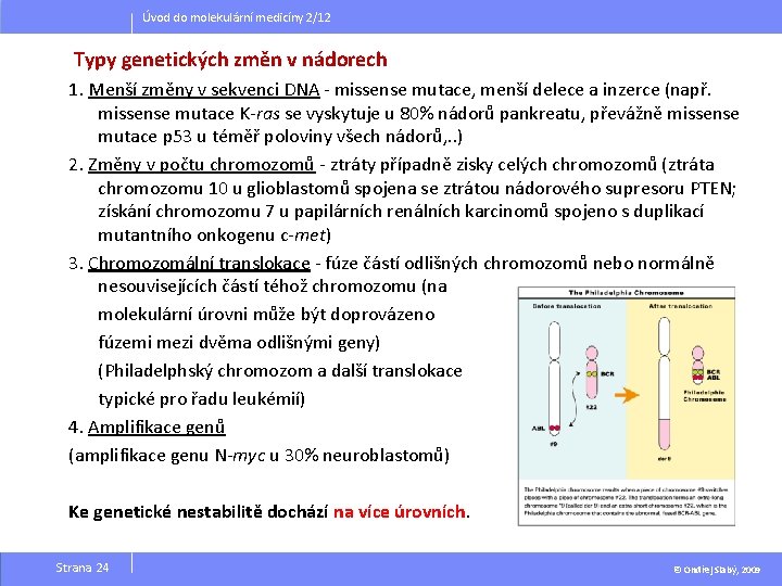 Úvod do molekulární medicíny 2/12 Typy genetických změn v nádorech 1. Menší změny v