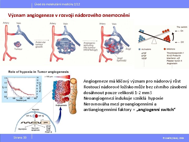 Úvod do molekulární medicíny 2/12 Význam angiogeneze v rozvoji nádorového onemocnění Angiogeneze má klíčový