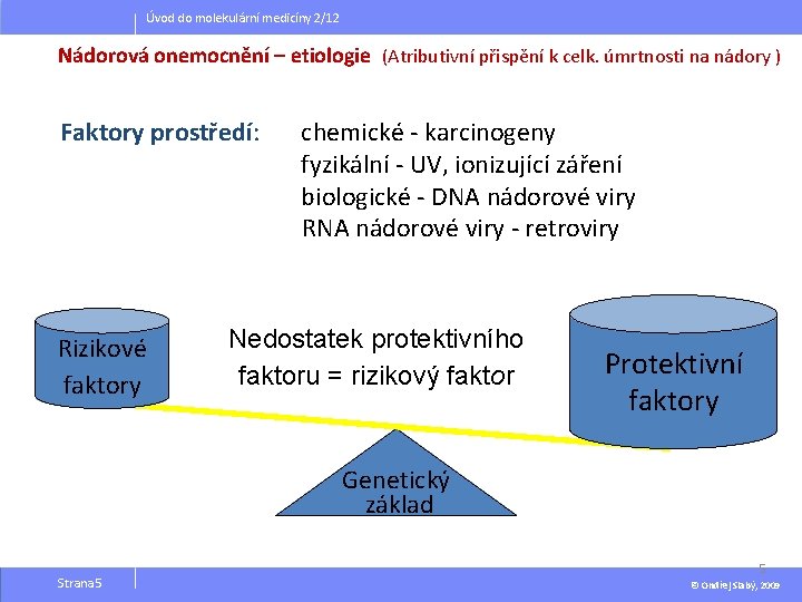 Úvod do molekulární medicíny 2/12 Nádorová onemocnění – etiologie (Atributivní přispění k celk. úmrtnosti