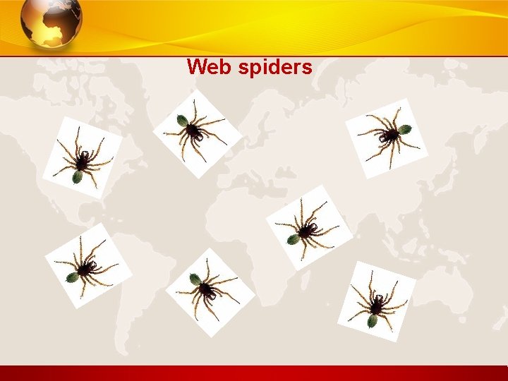 Web spiders 