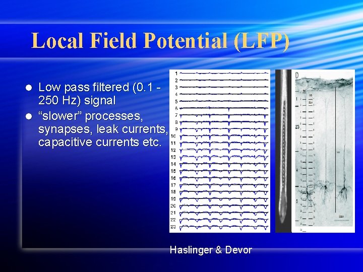 Local Field Potential (LFP) Low pass filtered (0. 1 250 Hz) signal l “slower”
