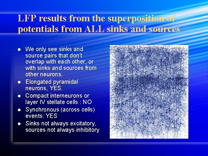 LFP results from the superposition of potentials from ALL sinks and sources l l LFP results from the superposition of potentials from ALL sinks and sources l l