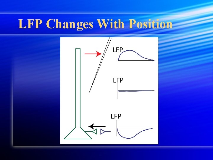 LFP Changes With Position LFP Changes With Position