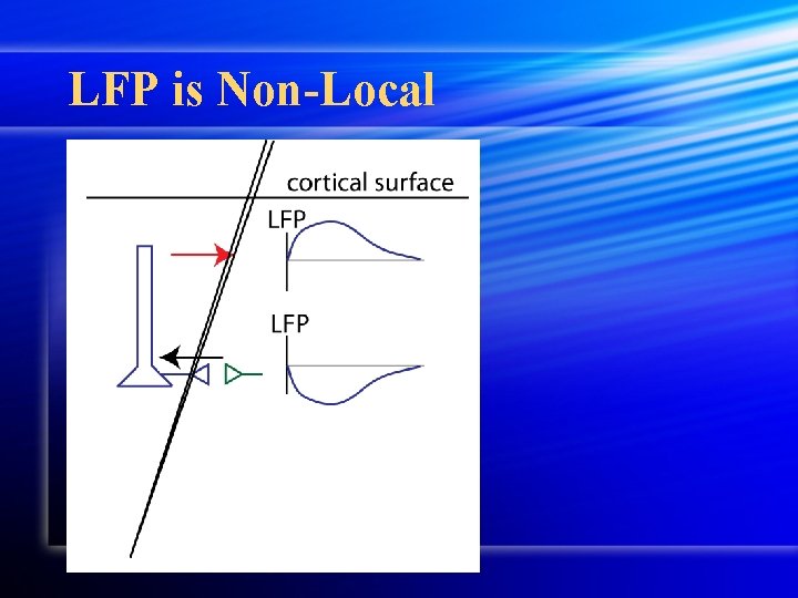 LFP is Non-Local LFP is Non-Local