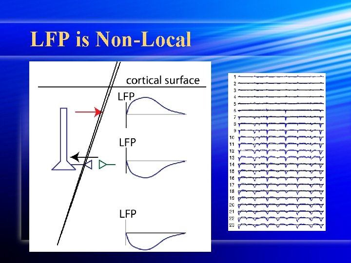 LFP is Non-Local LFP is Non-Local