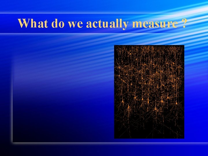 What do we actually measure ? What do we actually measure ?