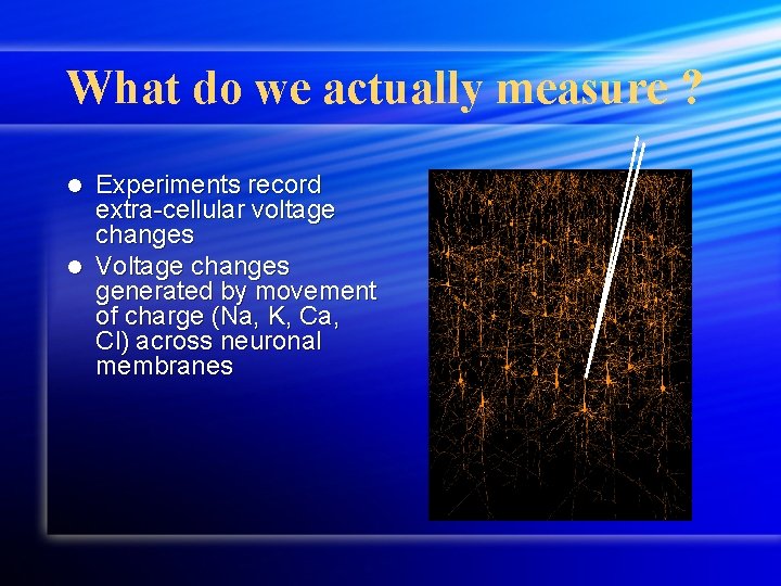 What do we actually measure ? Experiments record extra-cellular voltage changes l Voltage changes What do we actually measure ? Experiments record extra-cellular voltage changes l Voltage changes