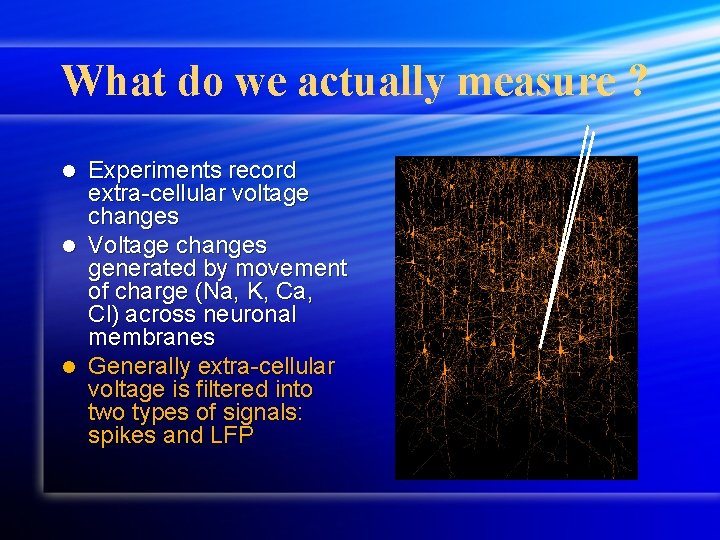 What do we actually measure ? Experiments record extra-cellular voltage changes l Voltage changes