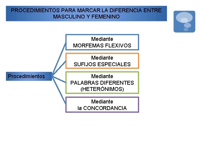 PROCEDIMIENTOS PARA MARCAR LA DIFERENCIA ENTRE MASCULINO Y FEMENINO Mediante MORFEMAS FLEXIVOS Mediante SUFIJOS