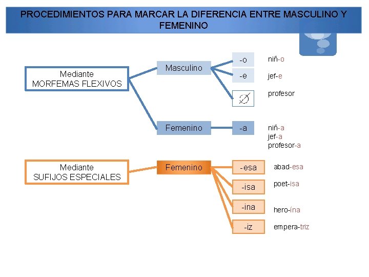 PROCEDIMIENTOS PARA MARCAR LA DIFERENCIA ENTRE MASCULINO Y FEMENINO Mediante MORFEMAS FLEXIVOS Masculino -o