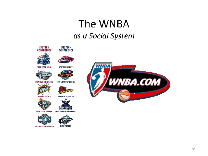 The WNBA as a Social System 36 
