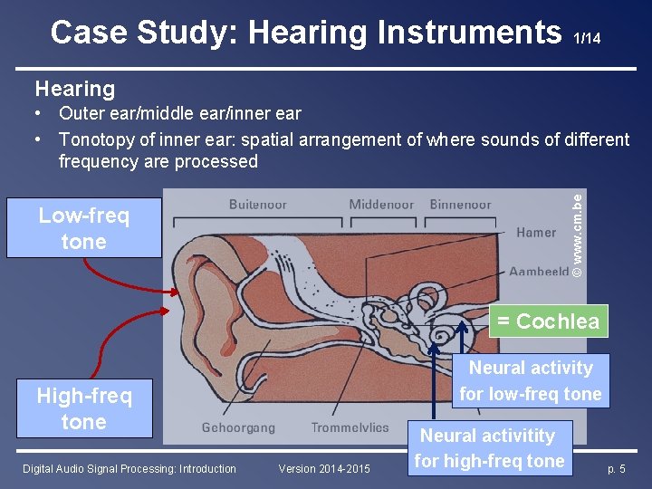 Case Study: Hearing Instruments 1/14 Hearing Low-freq tone © www. cm. be • Outer