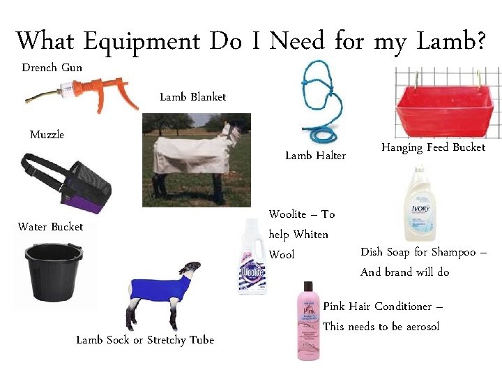 What Equipment Do I Need for my Lamb? Drench Gun Lamb Blanket Muzzle Lamb