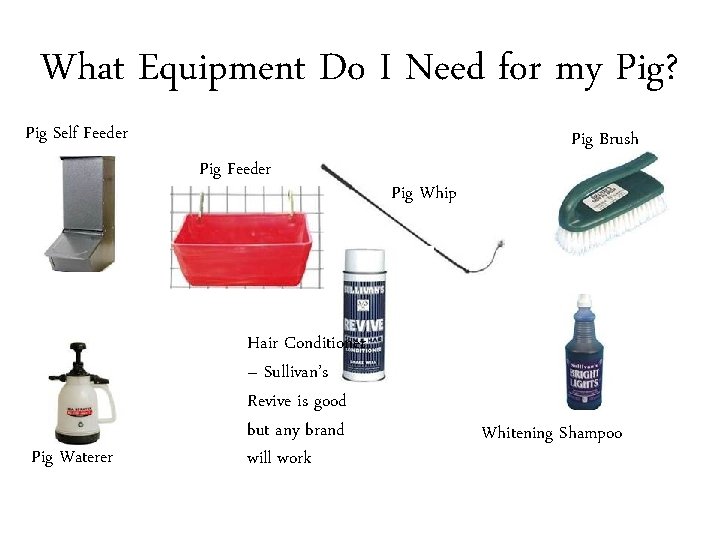 What Equipment Do I Need for my Pig? Pig Self Feeder Pig Waterer Hair
