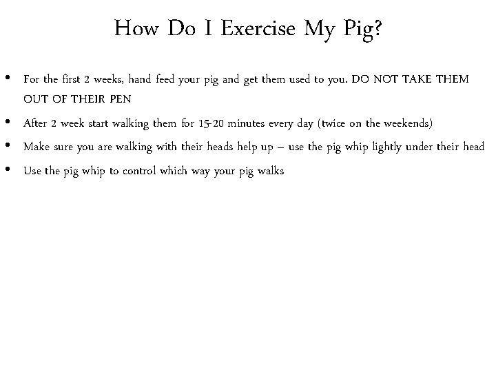 How Do I Exercise My Pig? • For the first 2 weeks, hand feed